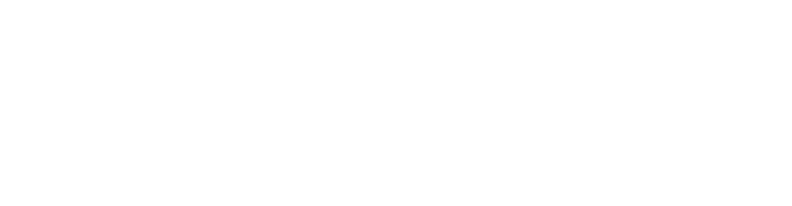 Optimize Wealth Logo