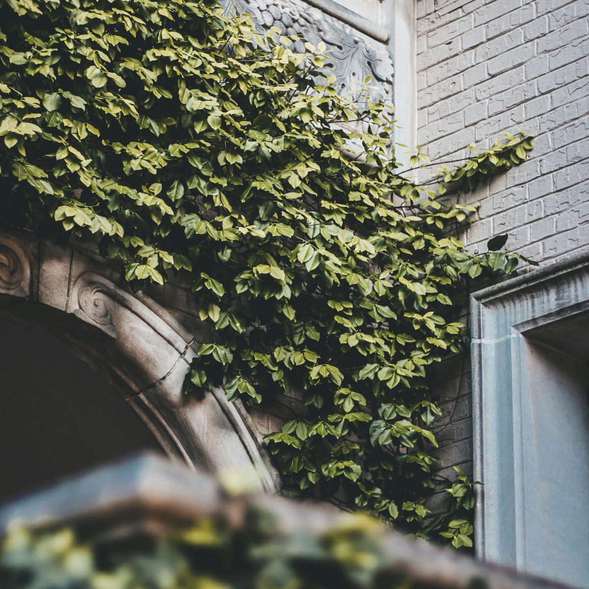 brice-cooper-XWhEktfIKuc-unsplash